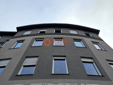 Lokal Kraków