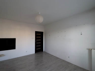 Mieszkanie przy lesie