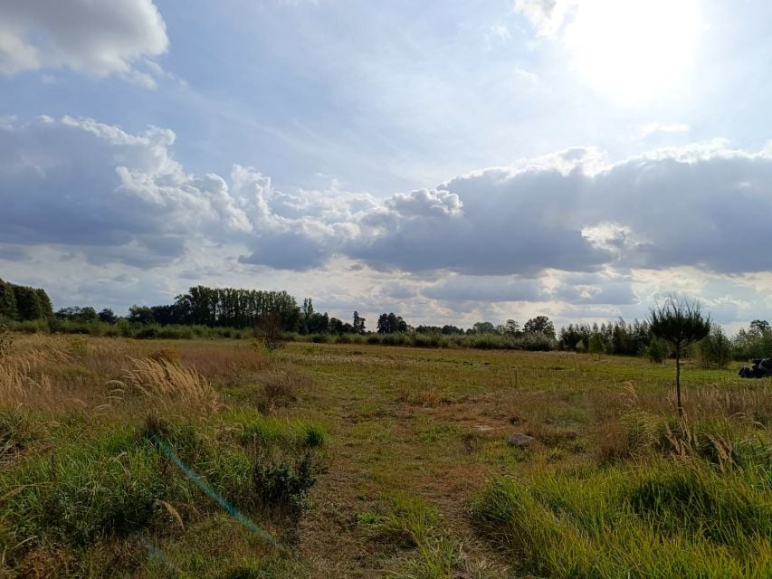 Działka budowlano-rolna Władysławów Bielawski