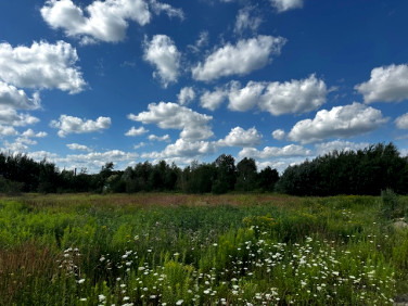 Działka inwestycyjna Domaniewek