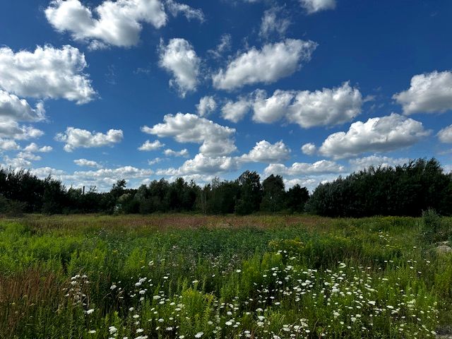 Działka inwestycyjna Domaniewek