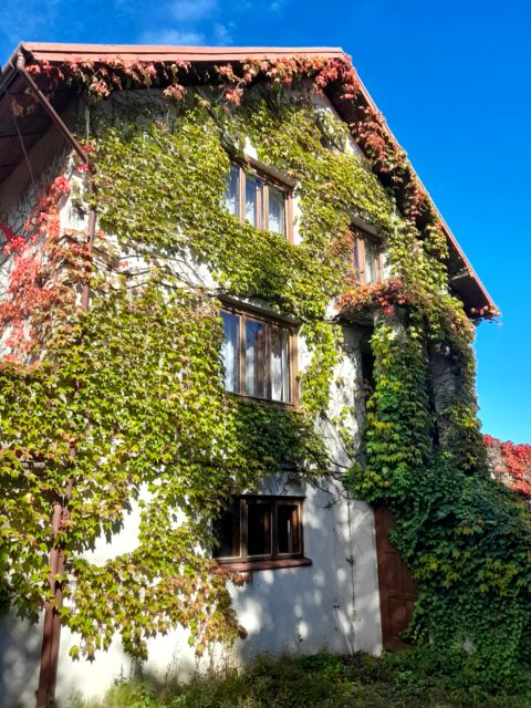 Dom Widawa sprzedaż