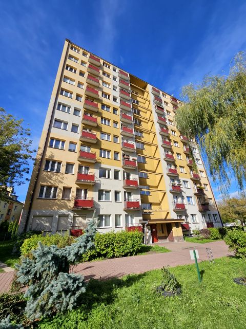 Mieszkanie Kielce