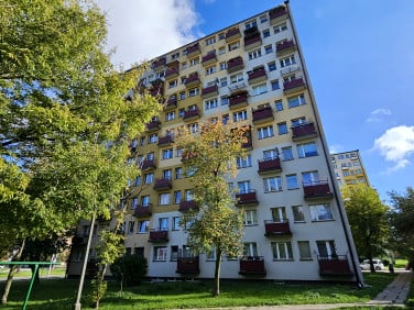 Mieszkanie Kielce sprzedaż