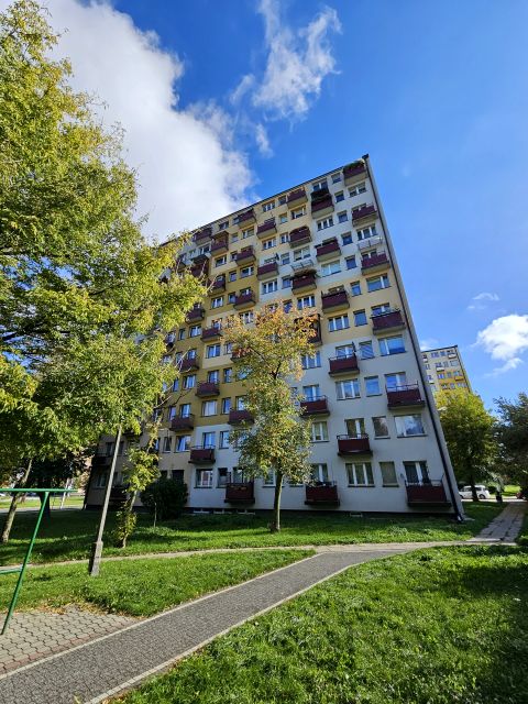 Mieszkanie Kielce sprzedaż