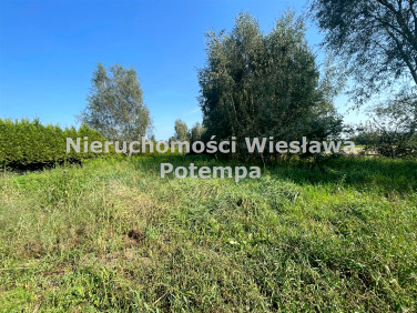 Działka Żory
