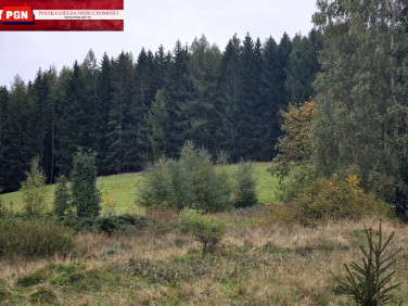 Działka budowlana Młynowiec