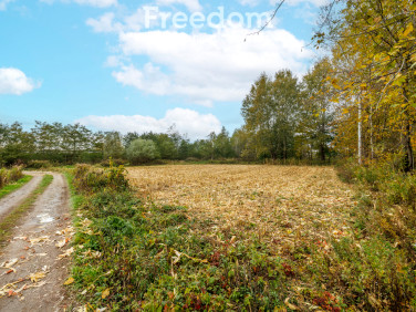 Działka Budy Łańcuckie