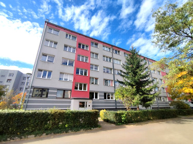 Mieszkanie Chojnów