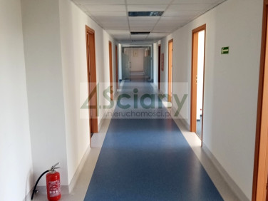 Lokal Warszawa wynajem