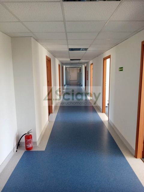 Lokal Warszawa wynajem