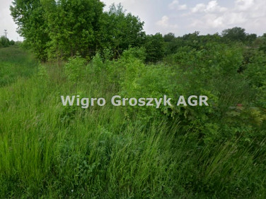 Działka inwestycyjna Palmiry