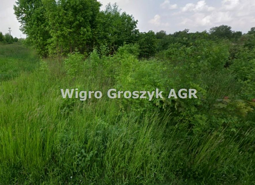 Działka inwestycyjna Palmiry