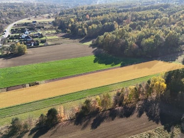 Działka inna Krynki