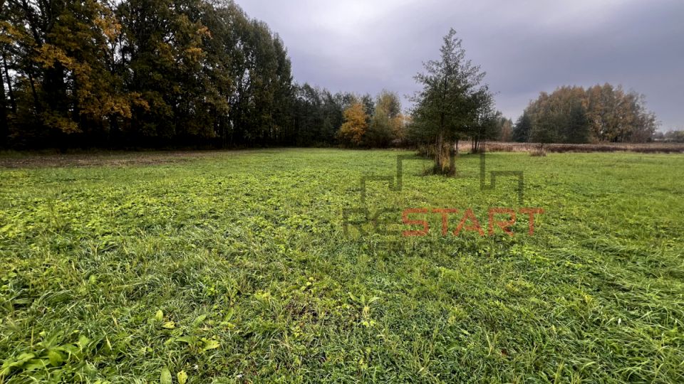 Działka usługowa Żaby