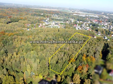 Działka leśna Czyżowice