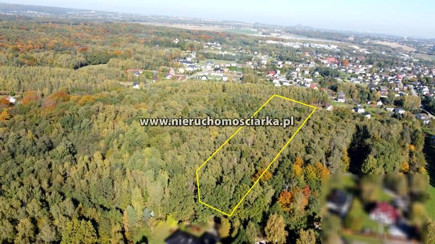 Działka leśna Czyżowice