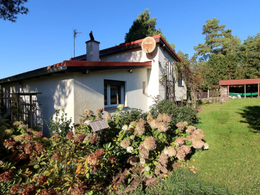 Dom Winiec sprzedaż