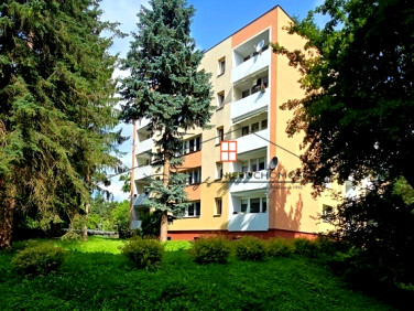 Mieszkanie blok mieszkalny nad rzeką