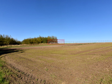 Działka usługowa Morawica sprzedam