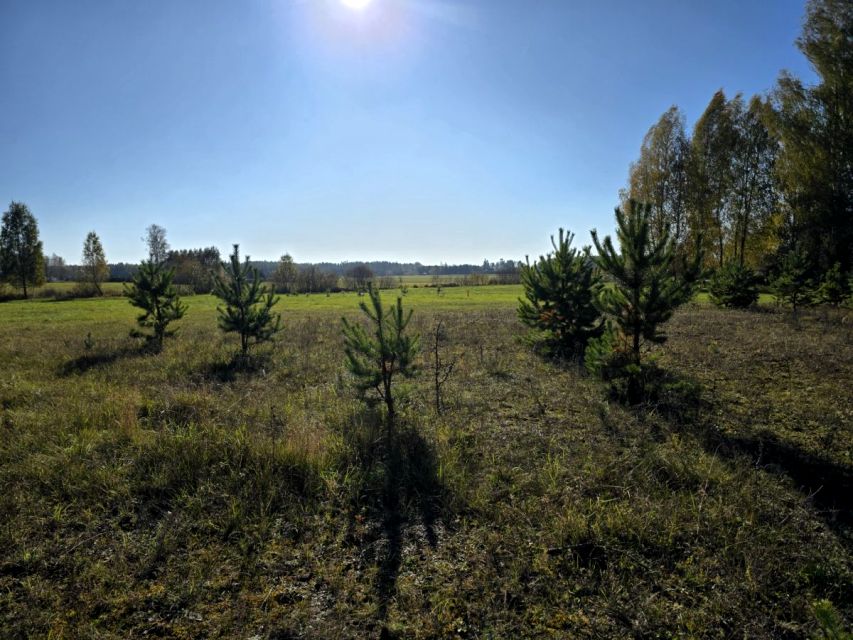 Działka budowlana Walne