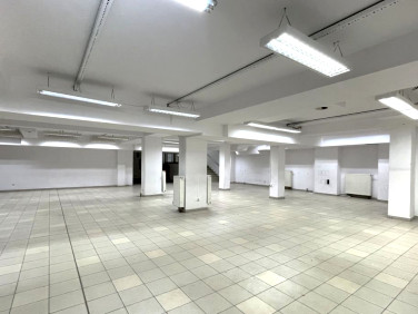 Lokal Rzeszów