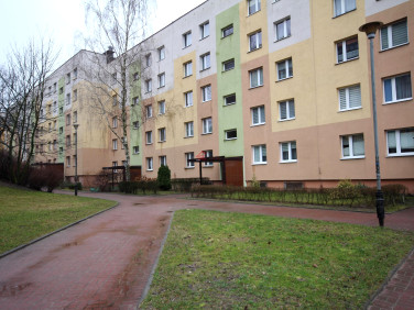 Mieszkanie Kielce
