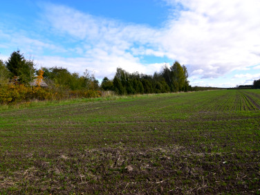 Działka budowlana Kozłówka sprzedam