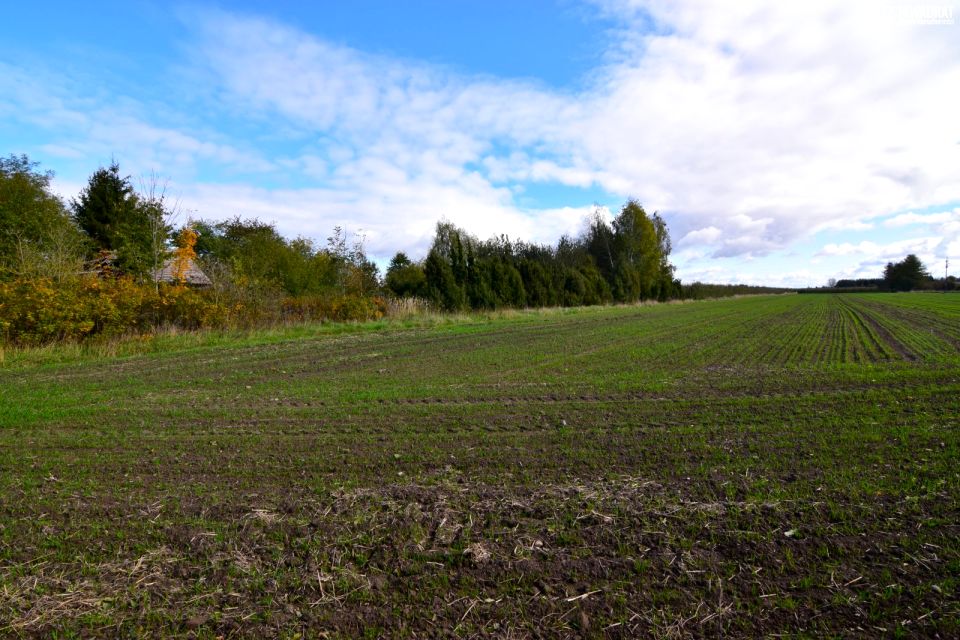 Działka budowlana Kozłówka sprzedam