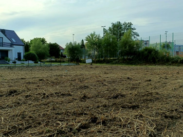 Działka budowlana Żary