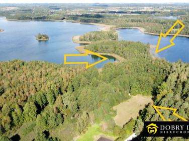 Działka Krzywe