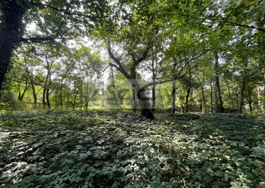 Działka Podkowa Leśna