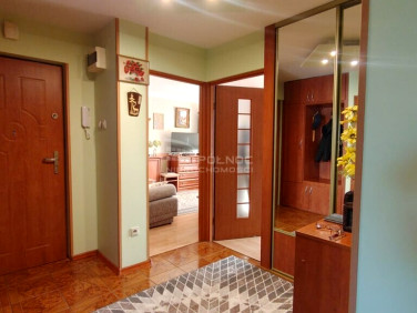 Mieszkanie Biała Podlaska