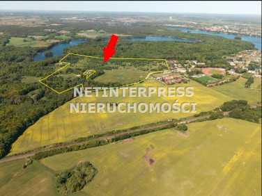 Działka Sitno