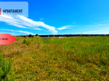 Działka budowlana Cekcyn sprzedam