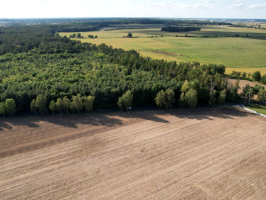 Działka budowlana Gaj Wielki