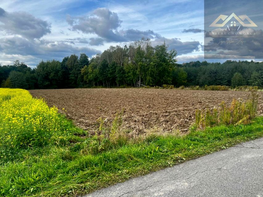 Działka budowlano-rolna Biadoliny Radłowskie