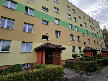 Mieszkanie Kielce