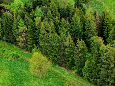 Ogrodzona działka sprzedam