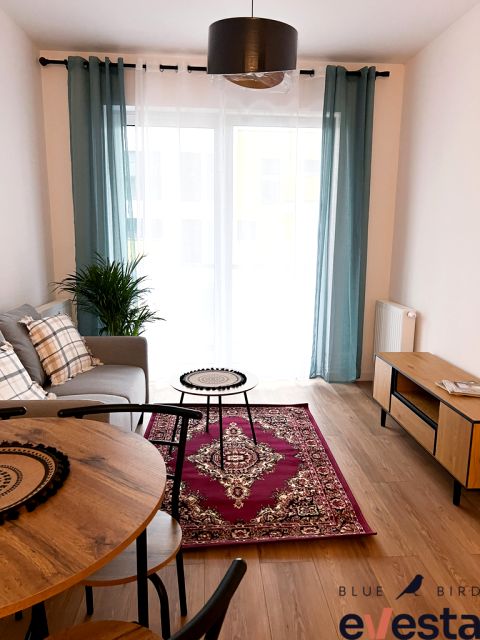 Mieszkanie Legnica wynajem