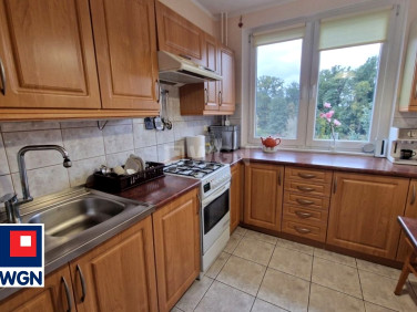 Mieszkanie Szprotawa