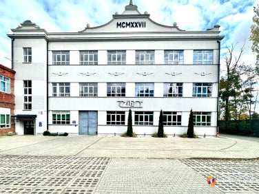 Lokal Sochaczew