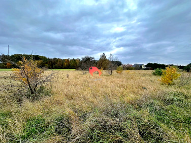 Działka budowlana Łochowice