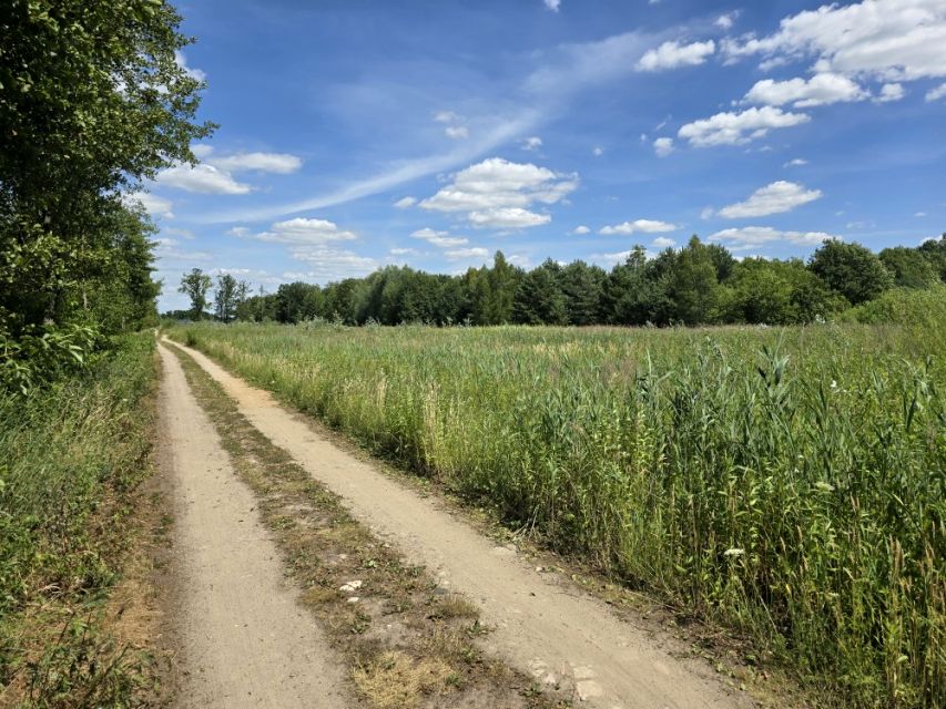 Działka budowlana Grabina