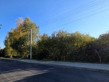 Działka inna Nowe Drzewce