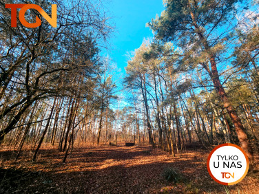 Działka budowlana Sokolniki-Las