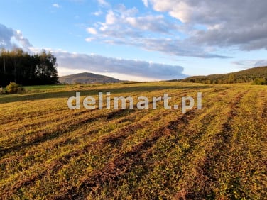 Działka budowlana Srogów Dolny