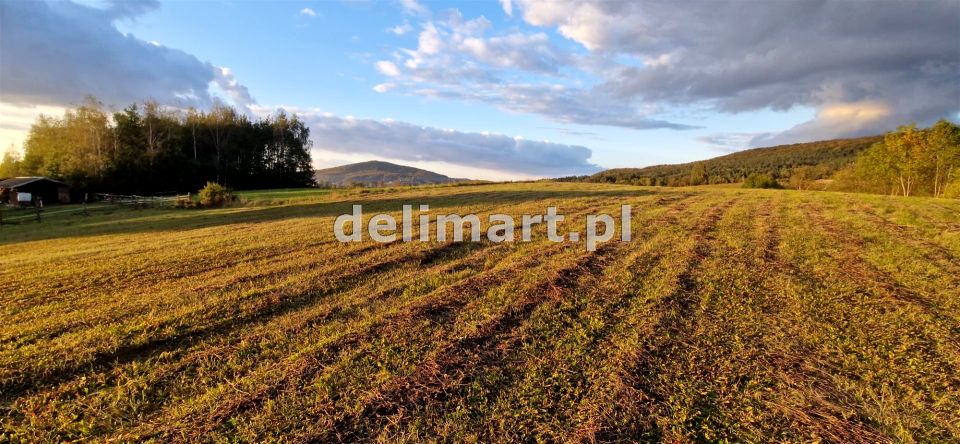 Działka budowlana Srogów Dolny