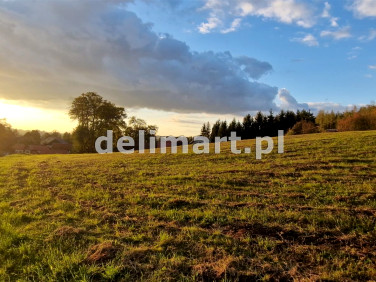 Działka budowlana Srogów Dolny