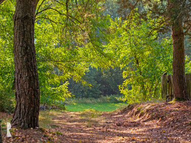 Działka siedliskowa sprzedam